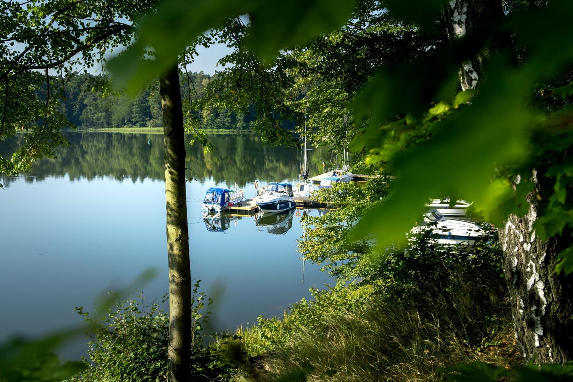 Ruciane Park - Mazury Resort & Spa Værelse billede